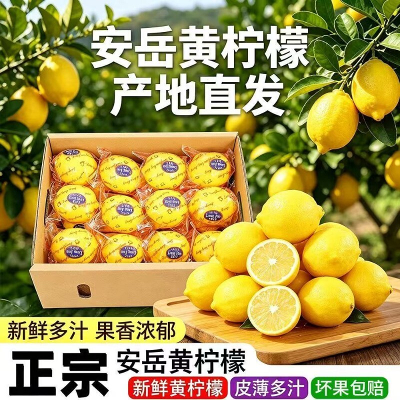 四川安岳黄柠檬新鲜应季水果皮薄爆汁黄柠檬清新果香产地直发批发