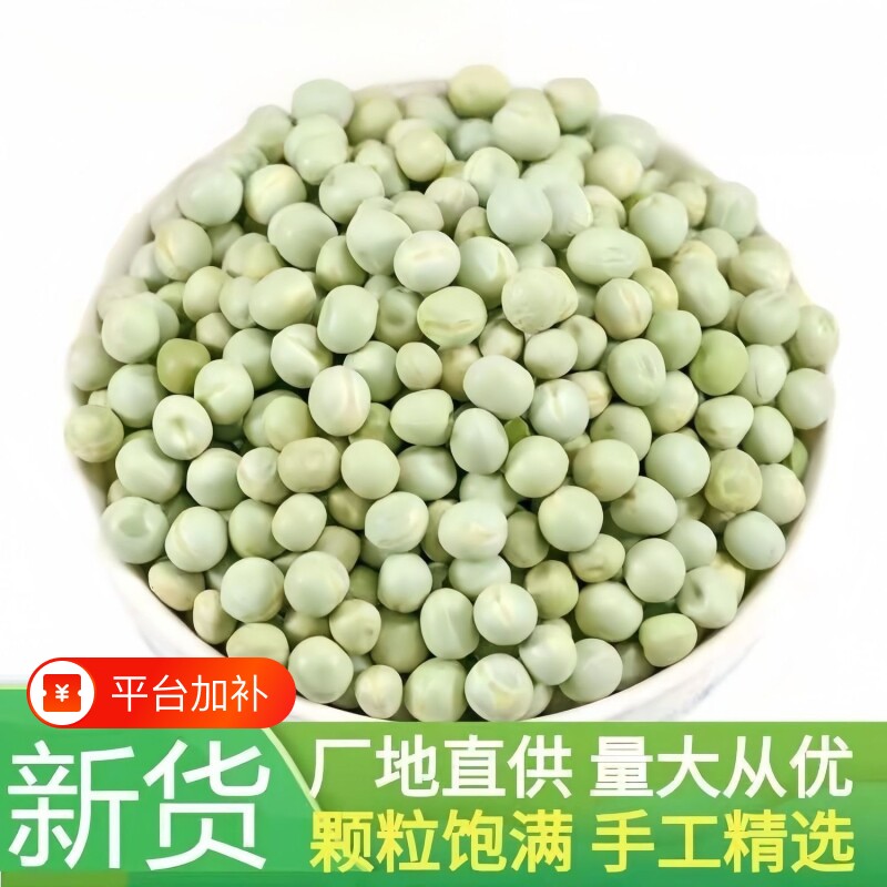 云南青豌豆干豌豆干货干青新鲜粒发豆芽专用大青豆绿麦豆子新货