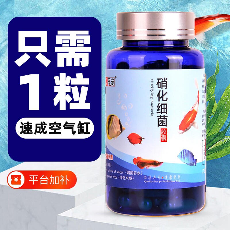 细菌胶囊片净化鱼缸净水剂硝化菌养鱼用品水族鱼清澈剂观赏鱼消化