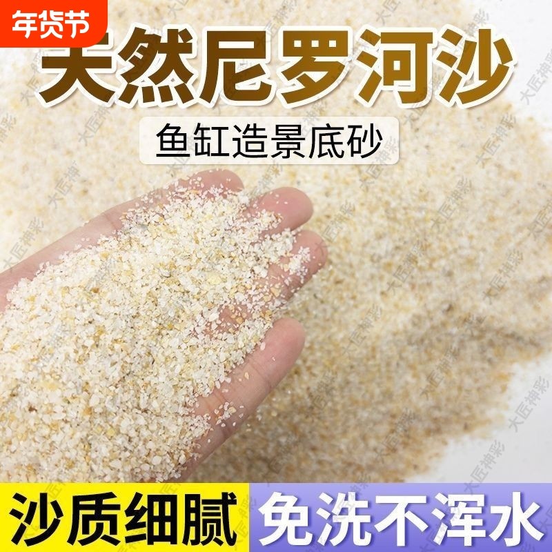 古法养鱼鱼缸造景底部砂石天然尼罗河沙化妆沙草沙净水火山石颗粒,宠物/宠物食品及用品,造景/装饰,淘宝优惠券,粉丝福利购,淘宝优惠卷