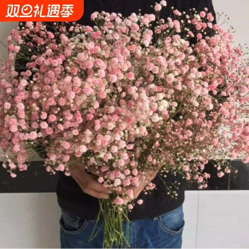 满天星勿忘我干花花束家居摆设客厅装饰摆件永生花鲜花情人节大束