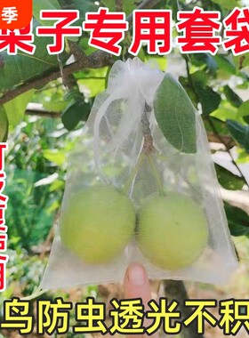 梨树专用水果套袋防虫防鸟通用无花果葡萄草莓桃子瓜果尼龙纱网袋