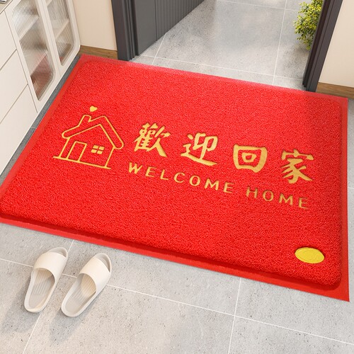 大门口进门除尘丝圈脚垫