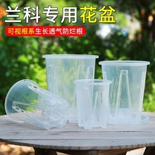 蝴蝶兰专用花盆兰花水苔透明控根生根盆塑料镂空家用阳台客厅耐用