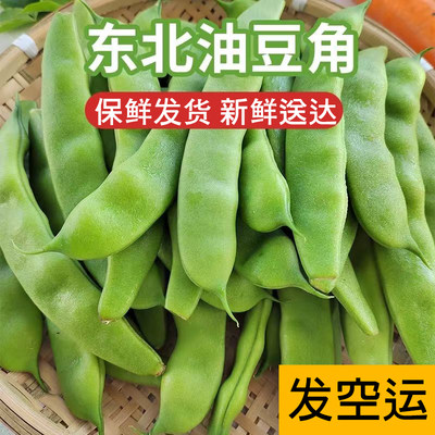 发空运】东北油豆角鲜摘新鲜正宗软烂九月青面豆无筋当季农家蔬菜