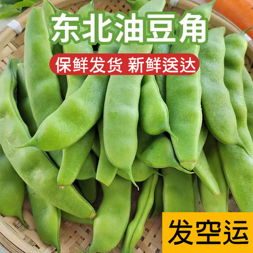 发空运】东北油豆角鲜摘新鲜正宗软烂九月青面豆无筋当季农家蔬菜