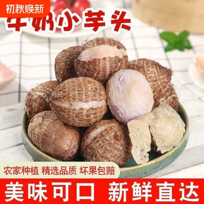 牛奶小芋头新鲜现挖香芋芋艿整箱