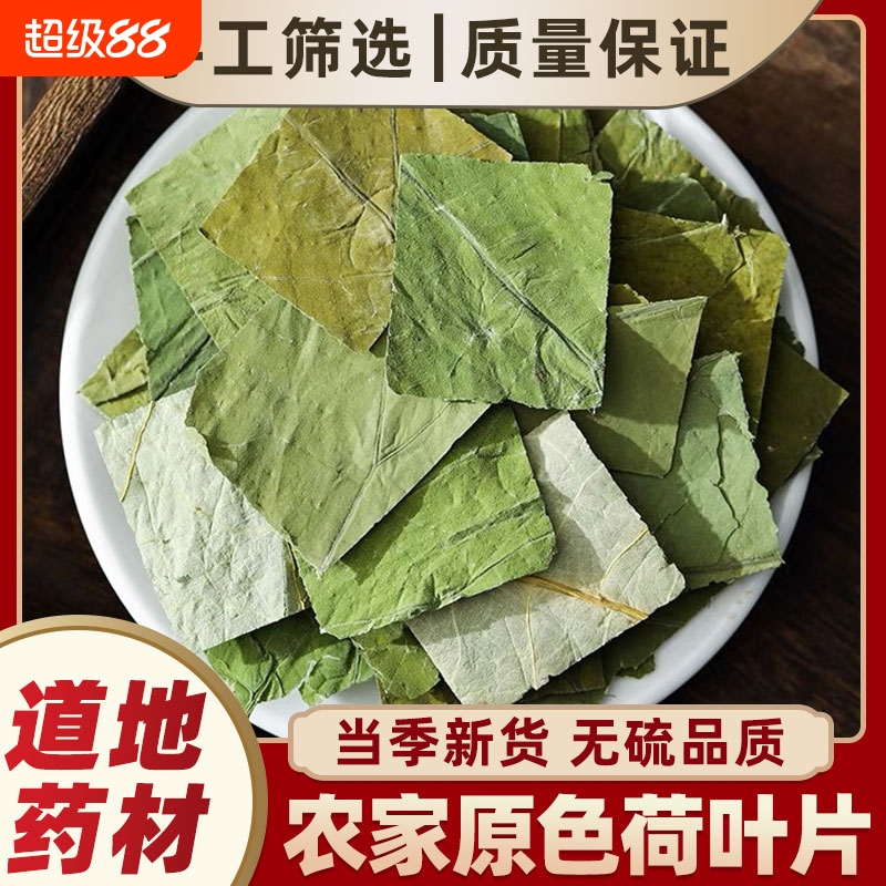 正品微山湖荷叶茶中药材新鲜无硫野生荷叶精选干荷叶片泡茶泡水喝