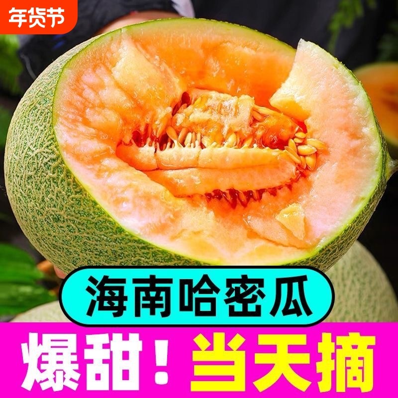 【优质】正宗哈密瓜新鲜整箱水果当季现季网纹瓜香甜蜜瓜应季脆甜,水产肉类/新鲜蔬果/熟食,哈密瓜,淘宝优惠券,粉丝福利购,淘宝优惠卷