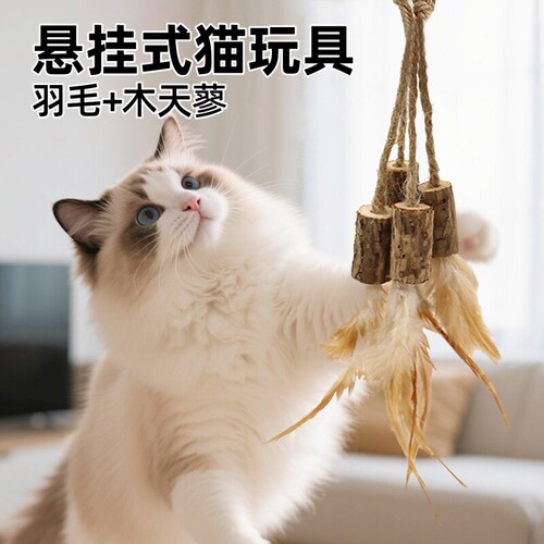 牧灵悬挂羽毛木天蓼猫咪