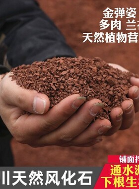 风化土颗粒风化石土壤盆景下山桩生根专用铺面小叶多肉种植兰花