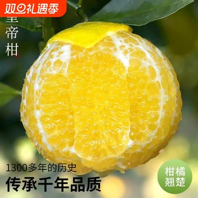 正宗广西皇帝柑9斤新鲜橘子水果当季现摘蜜桔子贡柑砂糖甜橘大果