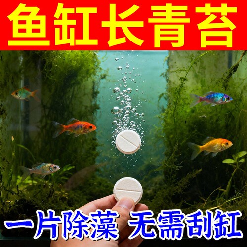鱼缸除藻去苔剂强效鱼缸壁清除绿褐丝藻黑毛净水一滴清专用免换水