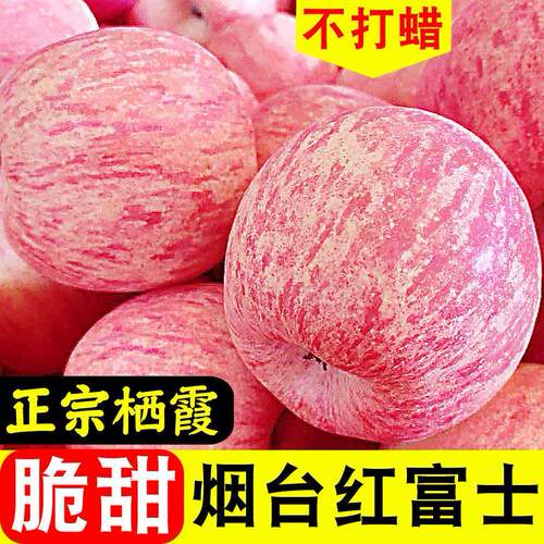 正宗山东烟台红富士苹果整箱爆甜当季红富士脆甜口感新鲜水果9斤