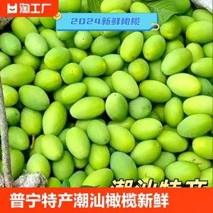 普宁特产潮汕橄榄新鲜水果青橄榄普宁老树橄榄现摘现发当季橄榄果