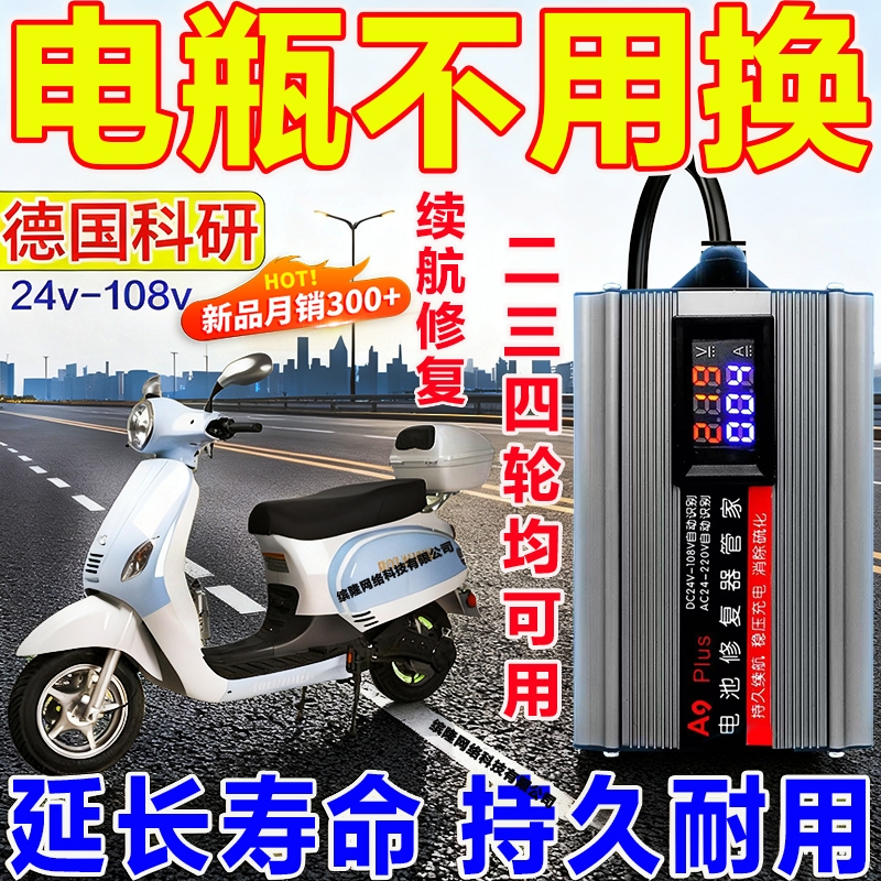 进口新款高效电瓶修复器正品