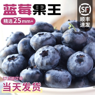 云南蓝莓鲜果特大礼盒当季 高山L25花香新鲜水果孕妇怡颗蓝梅整箱