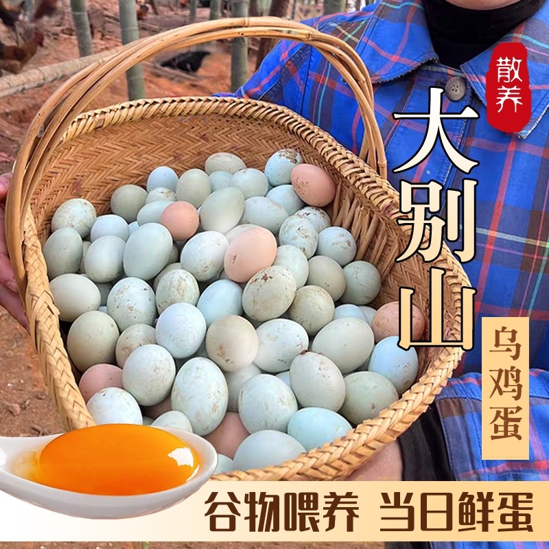 绿壳土鸡蛋20枚山林散养柴鸡蛋笨鸡蛋谷物营养新鲜农家初生蛋直发