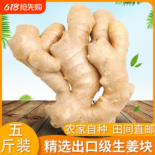 山东大姜优质生姜新鲜包邮