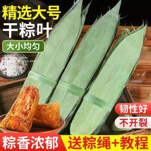 粽子叶粽叶干大号棕叶新鲜粽叶