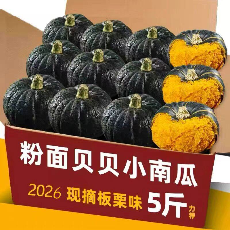 真贝贝南瓜9斤正宗新鲜板栗味品种南瓜现摘婴儿孕妇粉糯