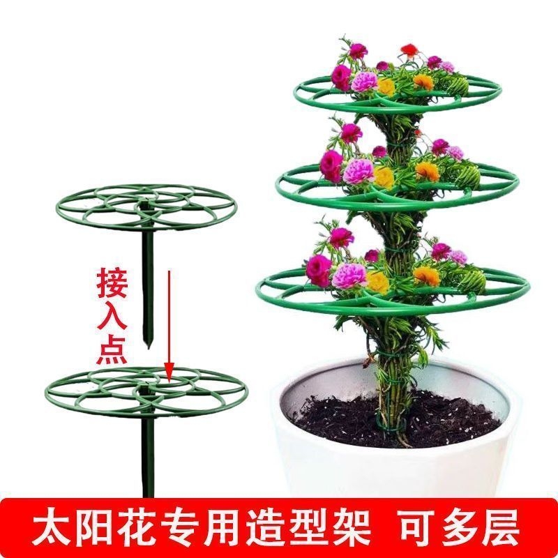 太阳花棒棒糖支架花架蟹爪兰叶仙嫁接多层拼接绿植园艺阳台创意架
