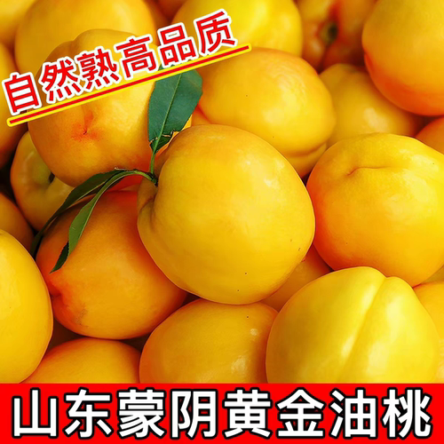 新鲜水果黄油桃当季整箱油桃蒙阴黄金油桃黄桃应季农家桃子现摘