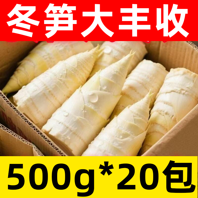 冬笋新鲜袋装商用冬笋尖水煮鲜嫩春笋500克冬笋丁竹笋整件批发