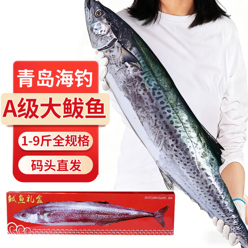鲅鱼新鲜冷冻山东特大马鲛鱼整条青岛鲅鱼片香煎燕鲅鱼段海鱼10斤