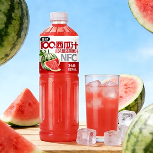 夏季 NFC网红纯果汁饮品无添加聚会浓缩 清爽100%冰西瓜汁5斤大瓶装