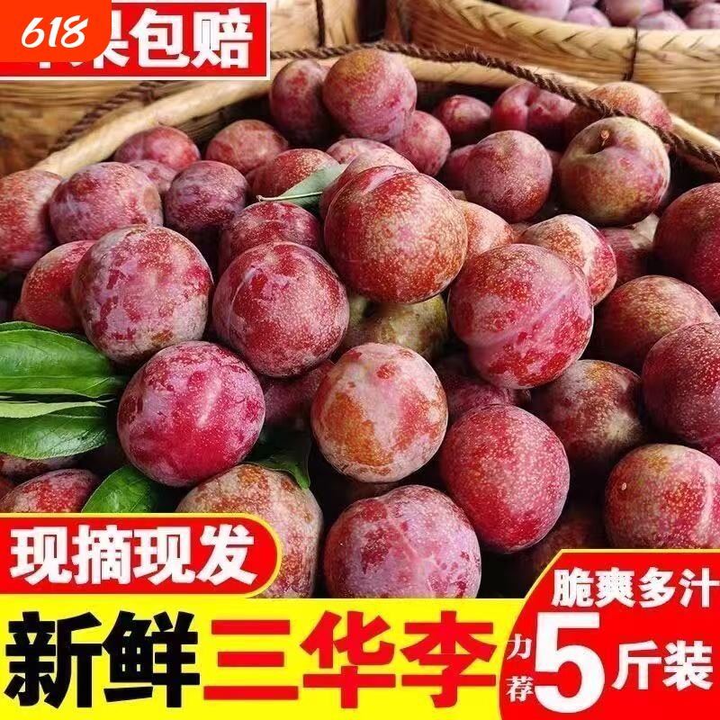 精品广西三华李农家现摘新鲜脆李子酸甜多汁时令水果5斤整箱装