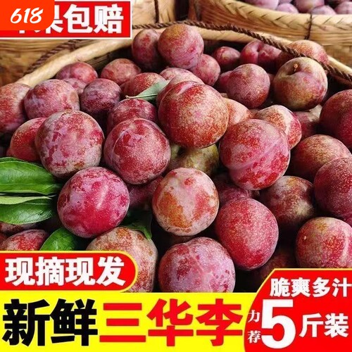 精品广西三华李农家现摘新鲜脆李子酸甜多汁时令水果5斤整箱装