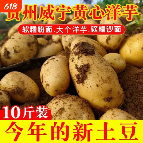 贵州黄心土豆新鲜高山农家