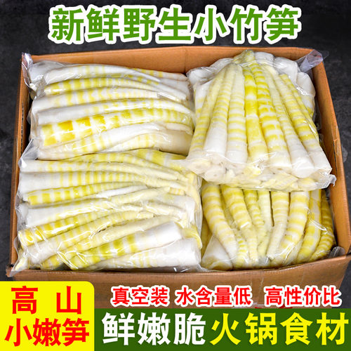 竹笋新鲜嫩笋尖野生小竹笋春笋江西小笋尖脆笋尖罗汉笋麻辣烫餐饮