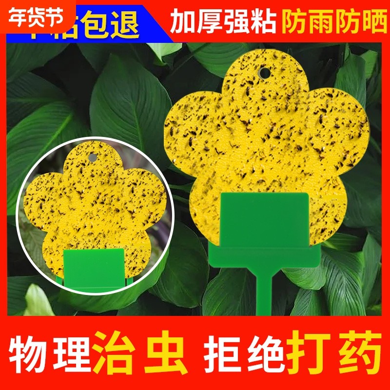 花型黄色粘虫板诱虫板双面粘虫板家用花卉粘虫纸果蝇诱捕器,鲜花速递/花卉仿真/绿植园艺,其它园艺用品,淘宝优惠券,粉丝福利购,淘宝优惠卷