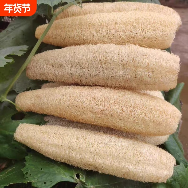 洗锅刷子丝瓜锅刷巾农家天然家用丝瓜筋茶壶垫杯垫丝瓜瓤洗碗厨房