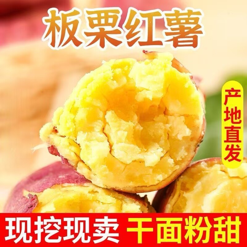 陕西板栗红薯新鲜沙地蜜薯板栗地瓜红薯山芋农家红皮蒸熟黄心番薯