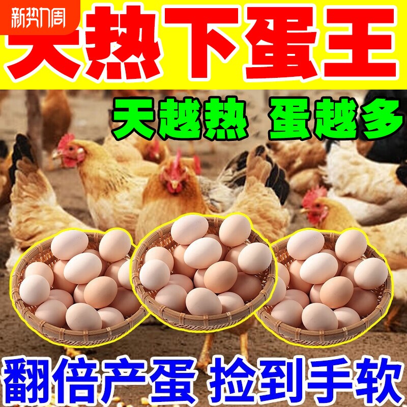 鸡下蛋专用蛋多多增蛋宝鸡鸭鹅鸽下蛋饲料催鸡下蛋增产专用产蛋灵