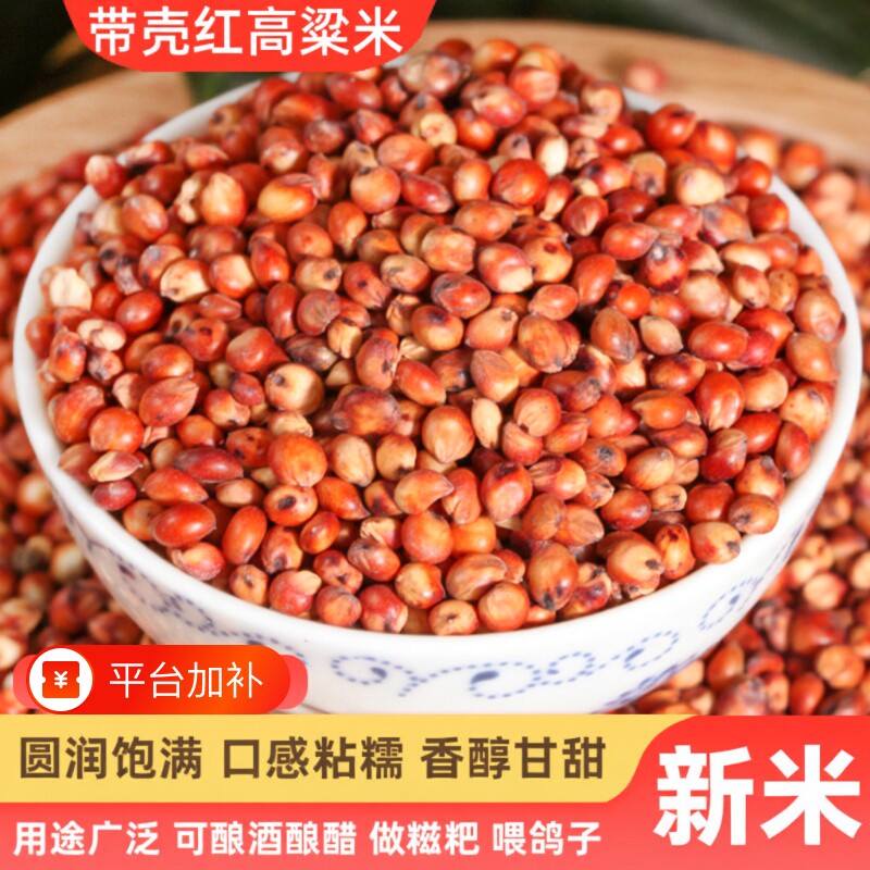东红高粱酿酒酿醋梗五谷杂粮带皮未脱皮袋装鸽子带壳
