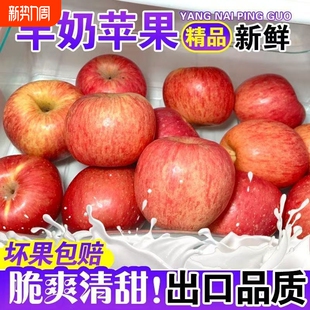 水果整箱 新鲜山西万荣羊奶红富士苹果脆甜新鲜应季 新鲜苹果