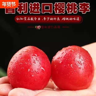 智利樱桃李 李子超甜樱桃枣蜜李进口小红布林当季新鲜时令水果