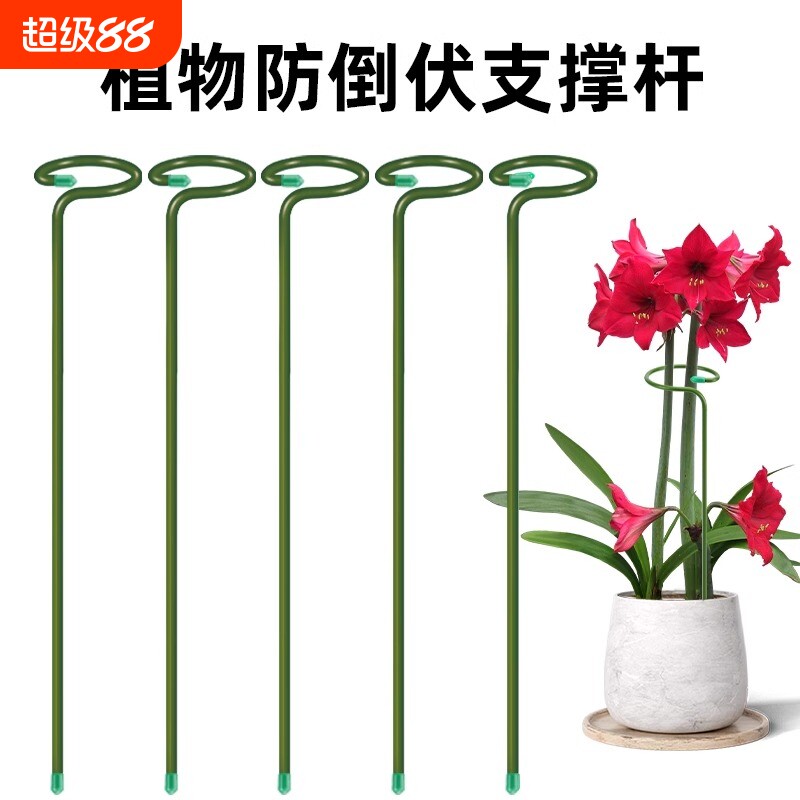 植物防倒伏支架支撑杆图片
