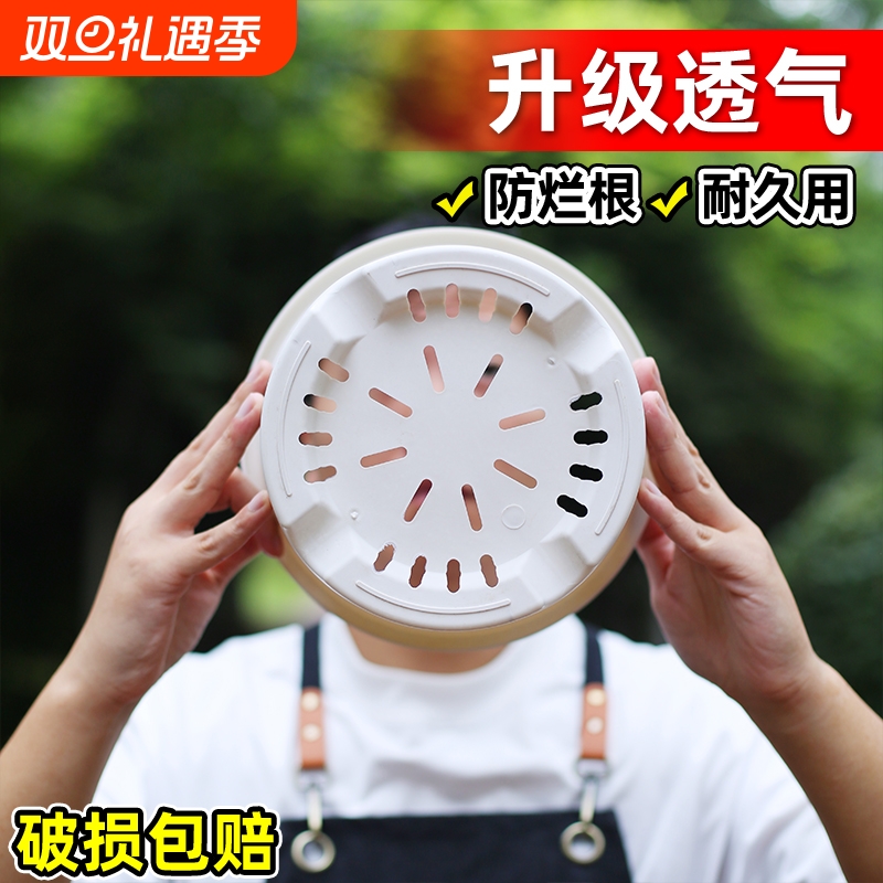 简约塑料米白色加仑盆