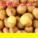 恩施小土豆现挖湖北新鲜黄心薄皮土豆当季 蔬菜整箱迷你马铃薯洋芋