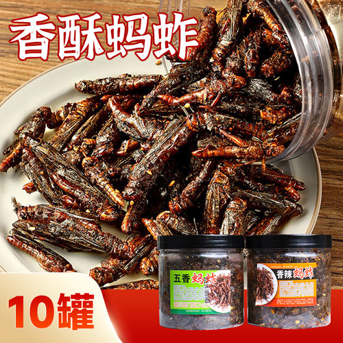熟制农家油炸蝗虫香辣小吃昆虫美食蚂蚱即食零食下饭下酒瓶装香酥