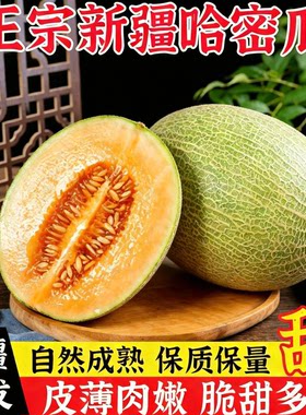 正宗新疆哈密瓜脆甜多汁皮薄肉厚