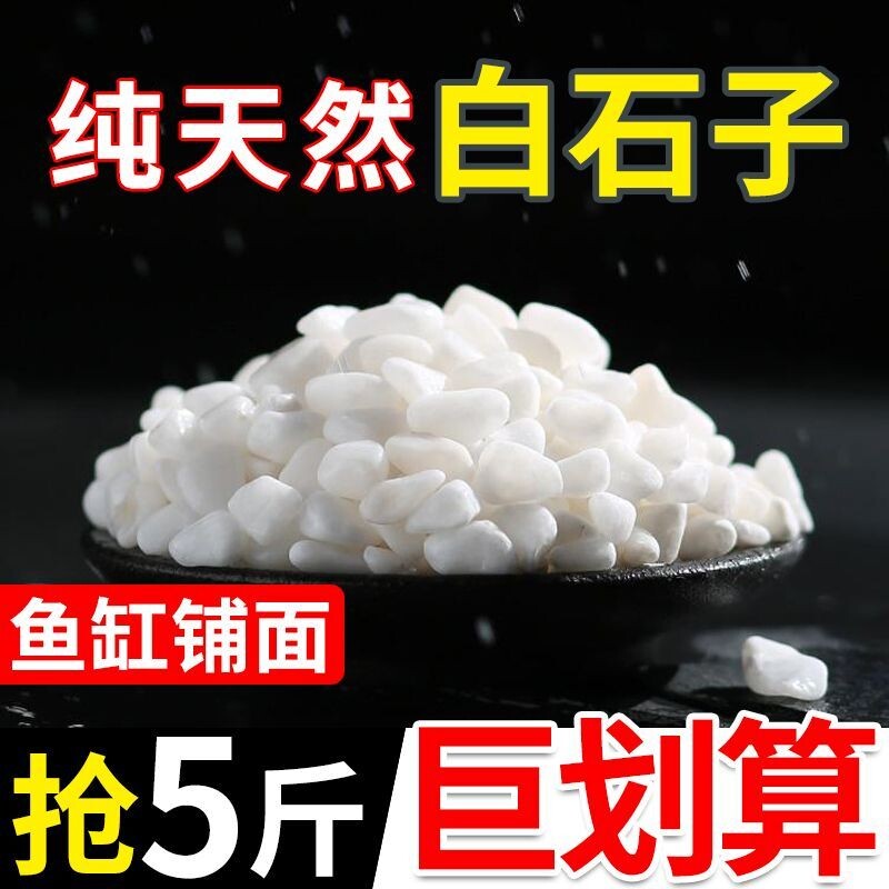 小白石子多肉铺面石头养花鹅卵石雨花石鱼缸造景盆栽庭院铺路包邮