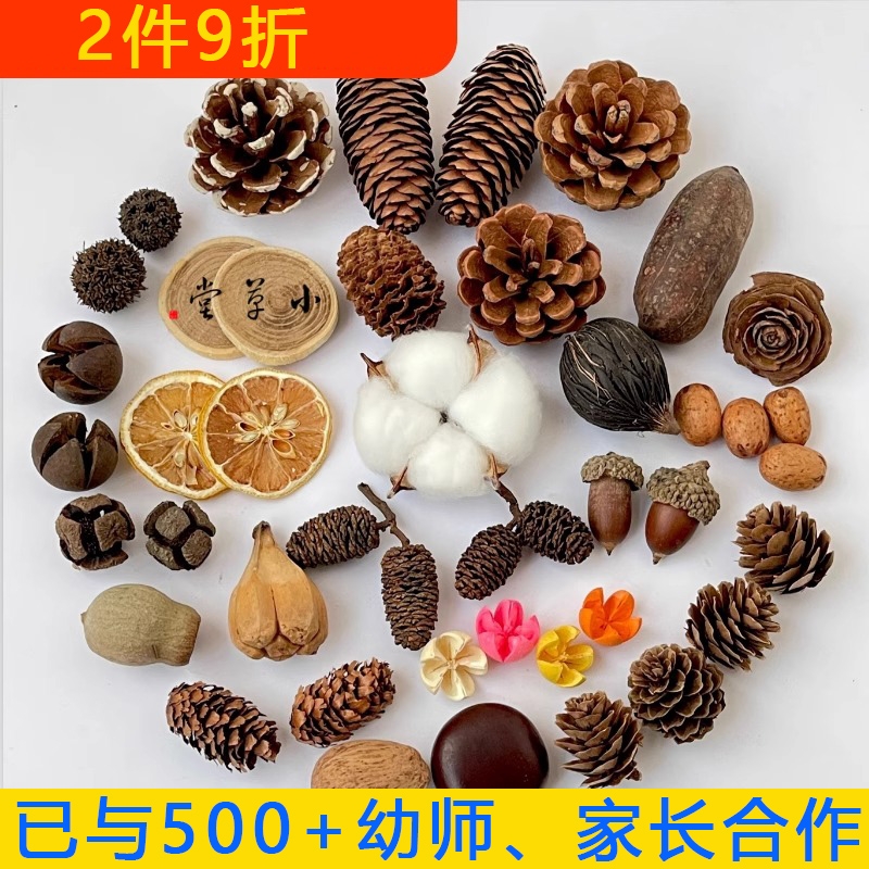 松果木片树叶干花干果组合圣诞diy幼儿园手工干花干果橡果艺术品