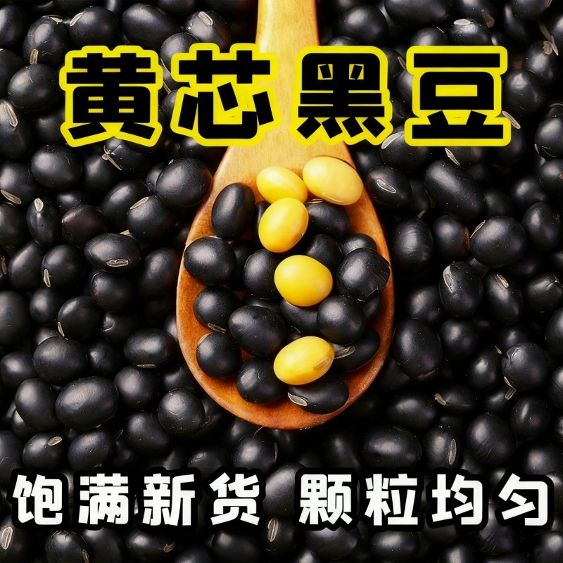 5斤黄芯黑豆农家自种小黑豆打豆浆专用小黑豆食用杂粮乌豆新货