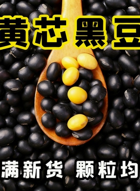 5斤黄芯黑豆农家自种小黑豆打豆浆专用小黑豆食用杂粮乌豆新货